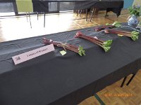 P1020146
