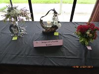 P1020158