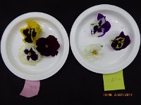 P1020196