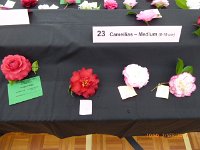P1020202