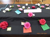 P1020203