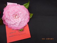 P1020204