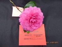 P1020206