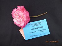 P1020207