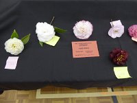 P1020208