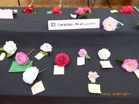 P1020209