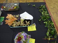 P1020233