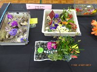 P1020234
