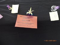 P1020236