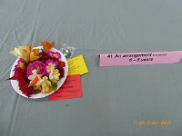 P1020237