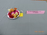 ZP1020125